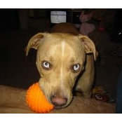 Brenda Drew's photo
