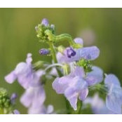 Kimberly Howard's photo