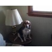 Karen Whitesell's photo