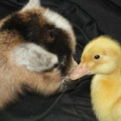 Joanne Thomson's photo