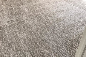 Tuftex Carpet