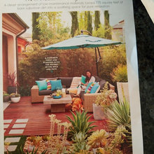 Patio and backyard