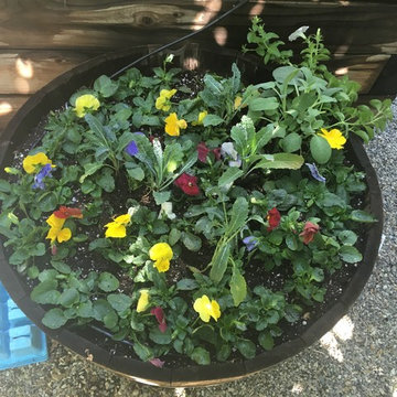 Organic Edible Gardens