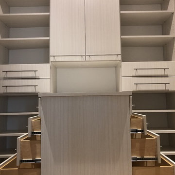Master Closet- Downtown Greenville SC