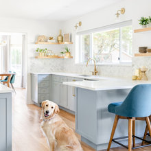 Dog Friendly Home
