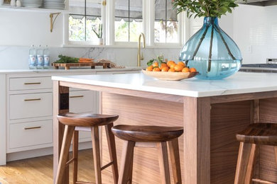 Kitchen - transitional kitchen idea in Other