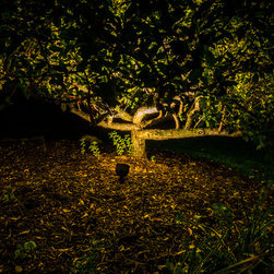 Old To New - Landscape Lighting