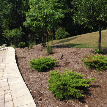 Hillside Landscape and Patio