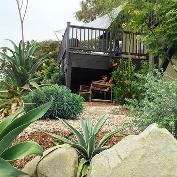 Conscious Stream Scape- Silverlake