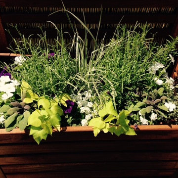 New York Terrace Makeover