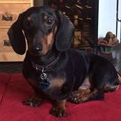 Aaron Morris's photo