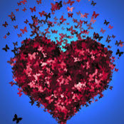 Cheryl Williams's photo