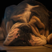 Jeremy Edgar's photo