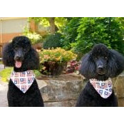 Tracy Kurkjian Story's photo