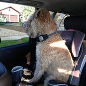 Jackie McMahon's photo