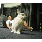 Darren Tao's photo