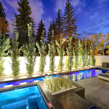 California Contemporary in the Heart of Calgary