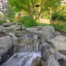 Landscape Ideas