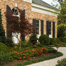Brentwood Red Maple Landscape