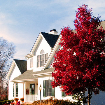 Warm Autumn Colors