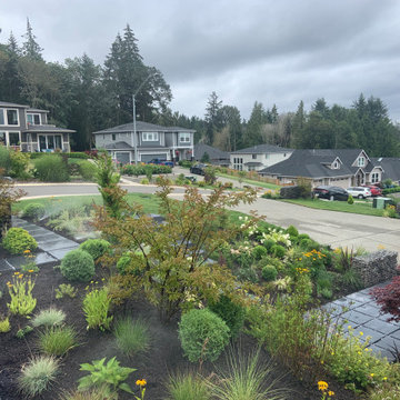 Modern Front Yard Garden