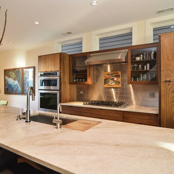 Chicago Net Positive Luxury Home