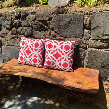 100 Year Old Tree Bench