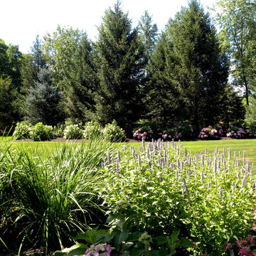 Complete Landscaping & Hardscaping Transformation