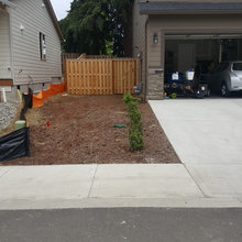 Parking Pad