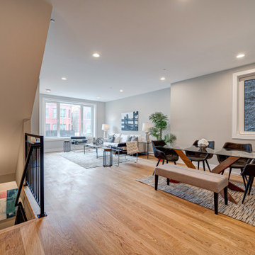 2448 W Diversey - New Construction Development