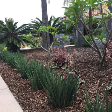Less lawn in El Cajon