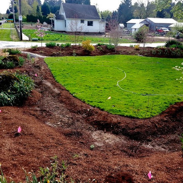 Master Gardener Landscape Makeover Rain Garden
