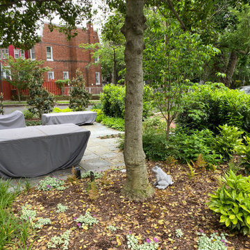 Peaceful Sanctuary for a Small Space