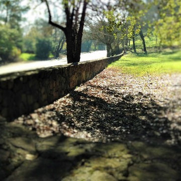 Stone Masonry Walls (decorative) and Landscape Feature