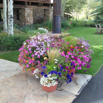 Annuals