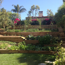 backyard ideas