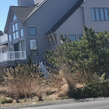 Bethany Exterior Colors