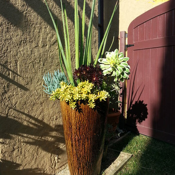 Succulent Containers