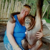 Foto von Donna Pennington