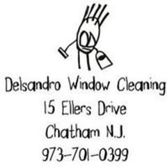 Delsandro Window Cleaning