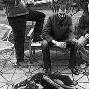 Bremmer Kneibs foto