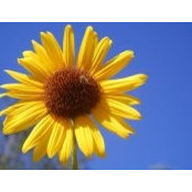 Donna Midkiff's photo