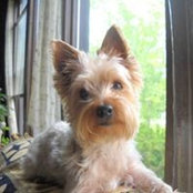 Renee Kozemczak's photo