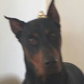 George Powell's photo