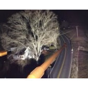 Ryan Hardin's photo