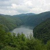 Trevor Cupp's photo
