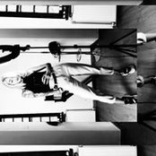 Alecsandra Muresan's photo