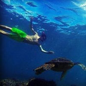 Erik Hansen's photo