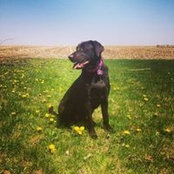 Courtney Prybylinski's photo