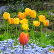 Foto von Sandra Campbell